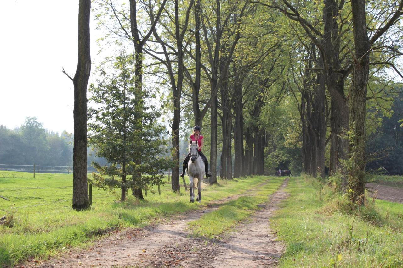 Hoeve Westdijk Oostkamp Exterior photo